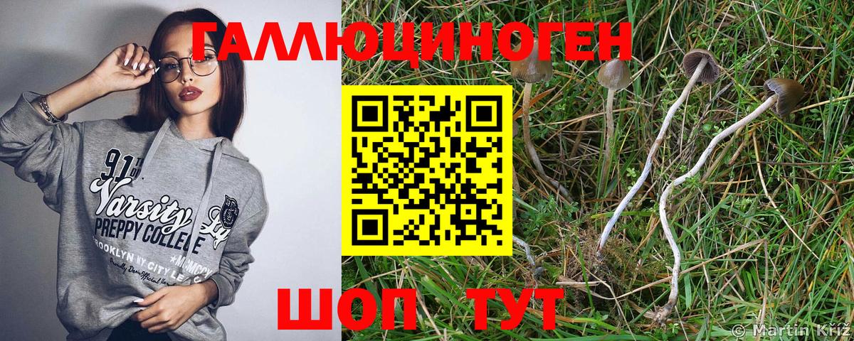 Галлюциногенные грибы Magic Shrooms  Вход с VPN  Мариинск 
